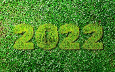 Why businesses HAVE to be more sustainable in 2022