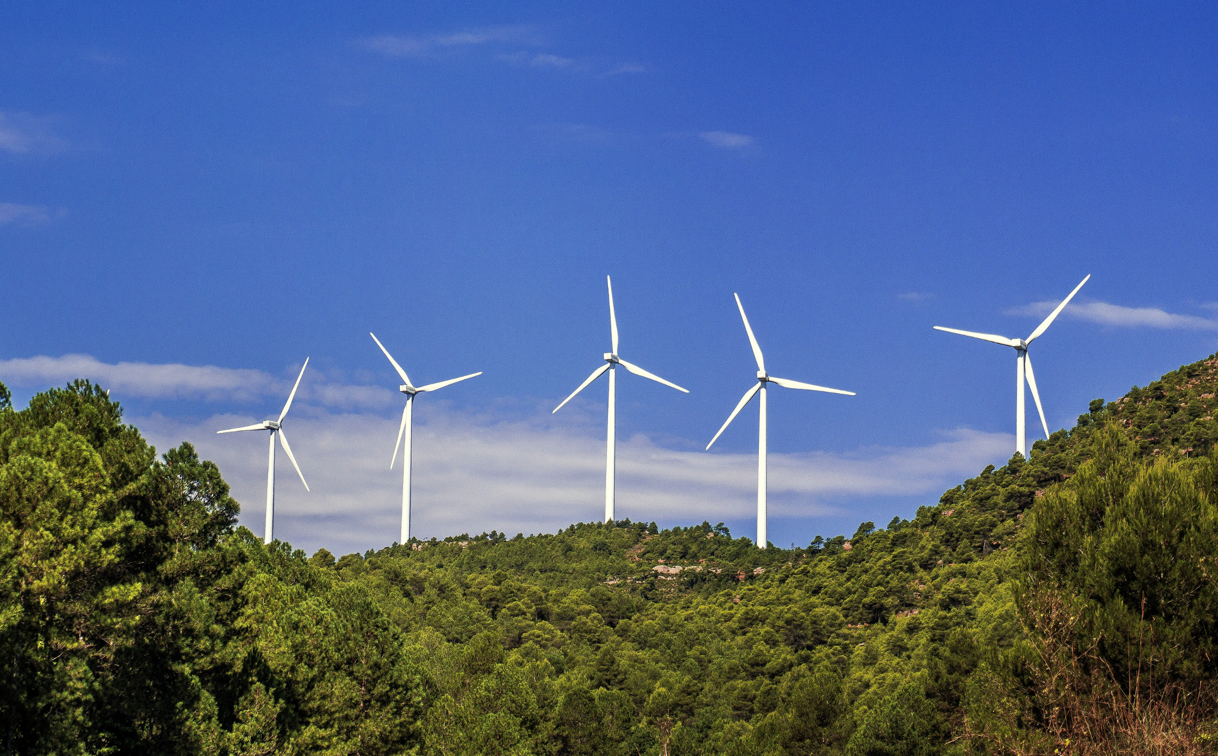Sustainability as a Service | Spring Environmental