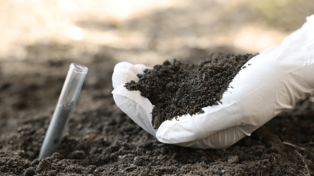 Soil sample. SoilComply by Spring Environmental