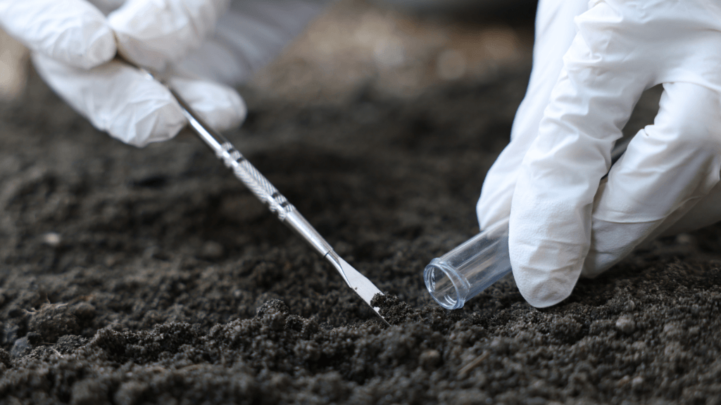 Soil Sample - Spring Environmental I SoilComply