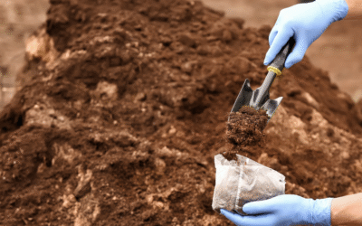 Waste Classification Quick Guide